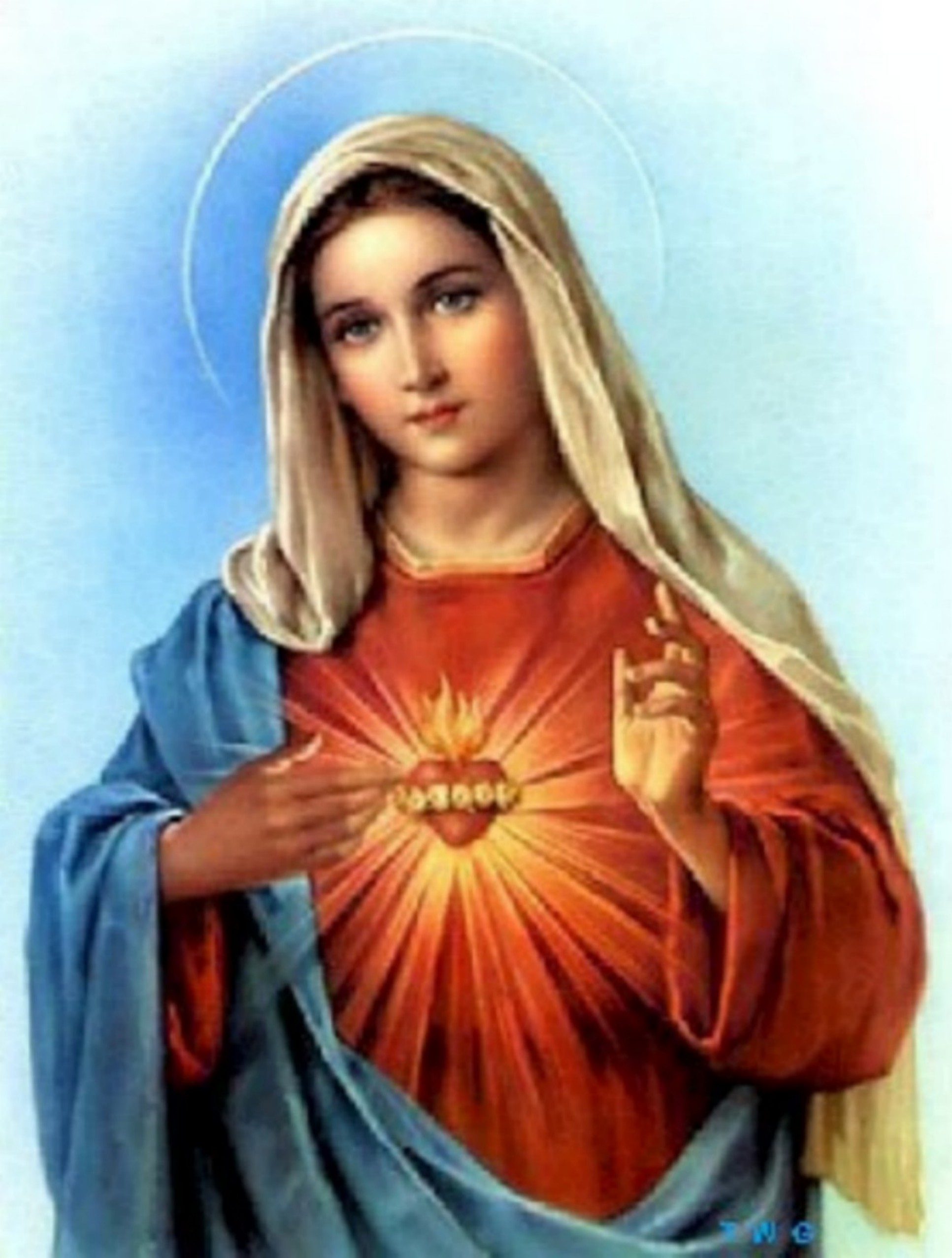 The Five Marks of True Devotion to Mary
