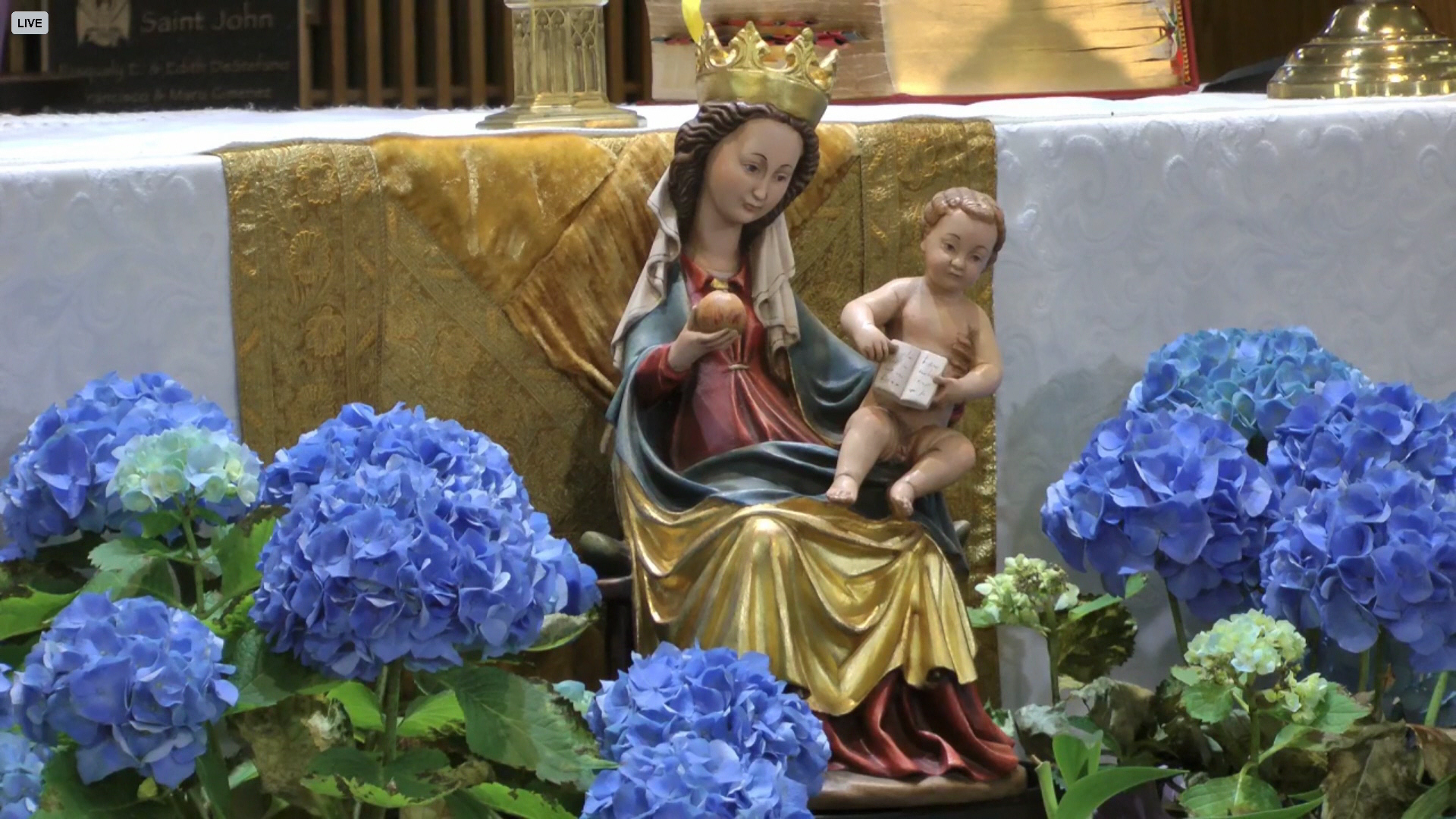 Our Lady, Cause of Joy and Seat of Wisdom