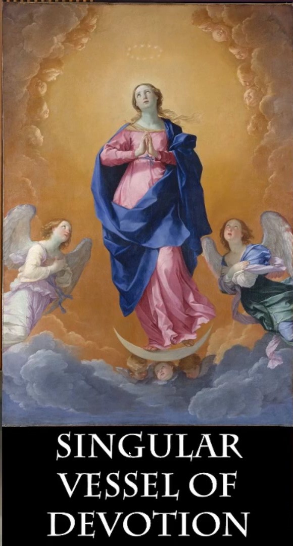 Our Lady, Vessel of Devotion and Mystical Rose