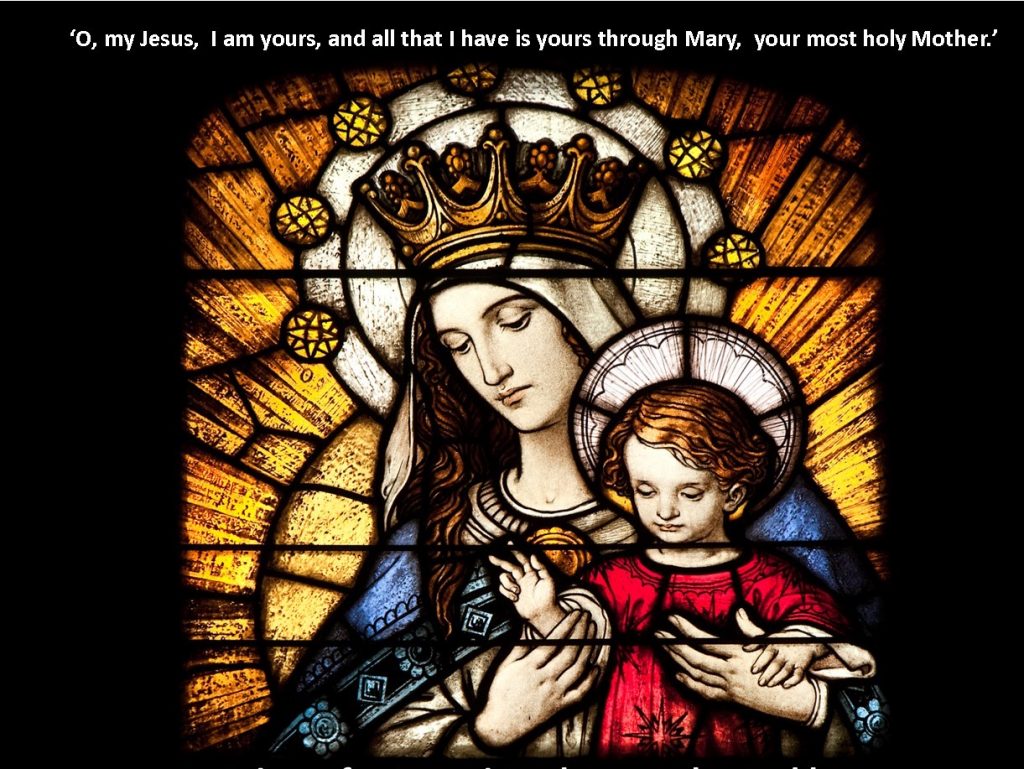 Celebrating the Queenship of Holy Mary